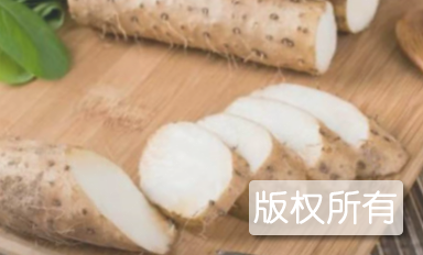 枞阳山药