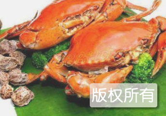 潮汕赤蟹