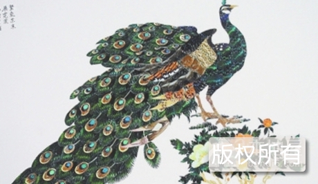 蝶翅画