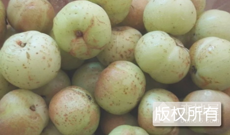 华侨油柑