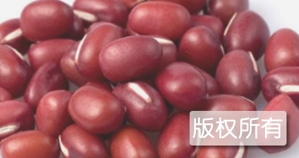 南宁红豆