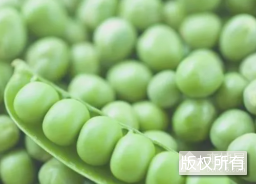 兰溪大青豆