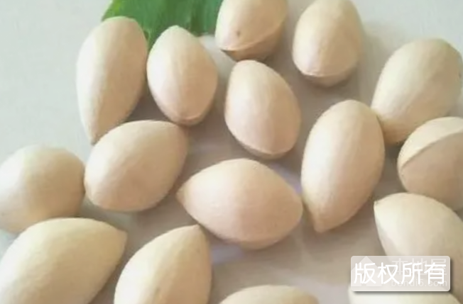 大佛指白果