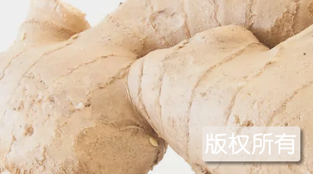 陡沟生姜