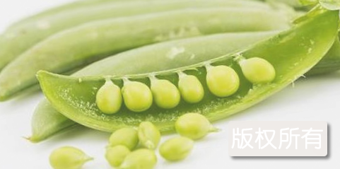 九节鞭菜豆