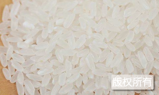 高山苗米