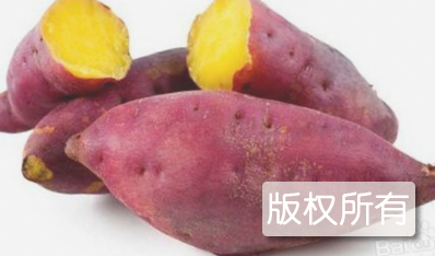 旱岭红薯