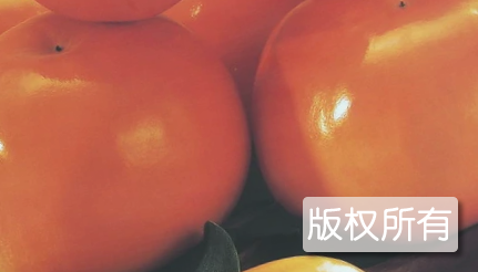 信宜柿子