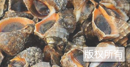 外海海鲜