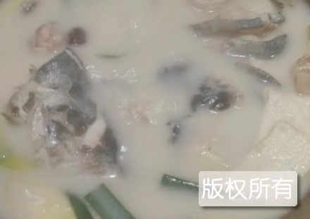 奶汁肥王鱼