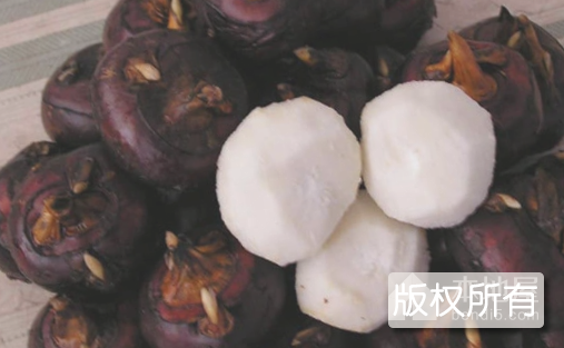北乡马蹄