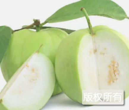 琼海番石榴