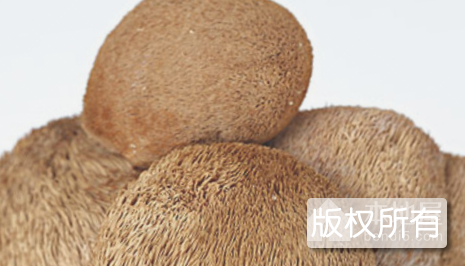 清丰食用菌