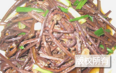 吉林蕨菜