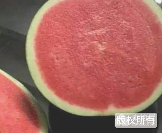 麻阳无籽西瓜